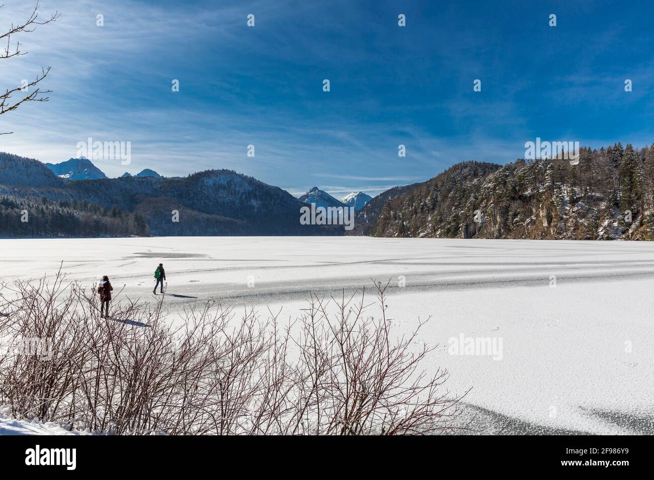 Alpsee surgelé en hiver, Schwangau, Füssen, Allgäu Alpes, Allgäu, Bavière, Allemagne, Europe Banque D'Images