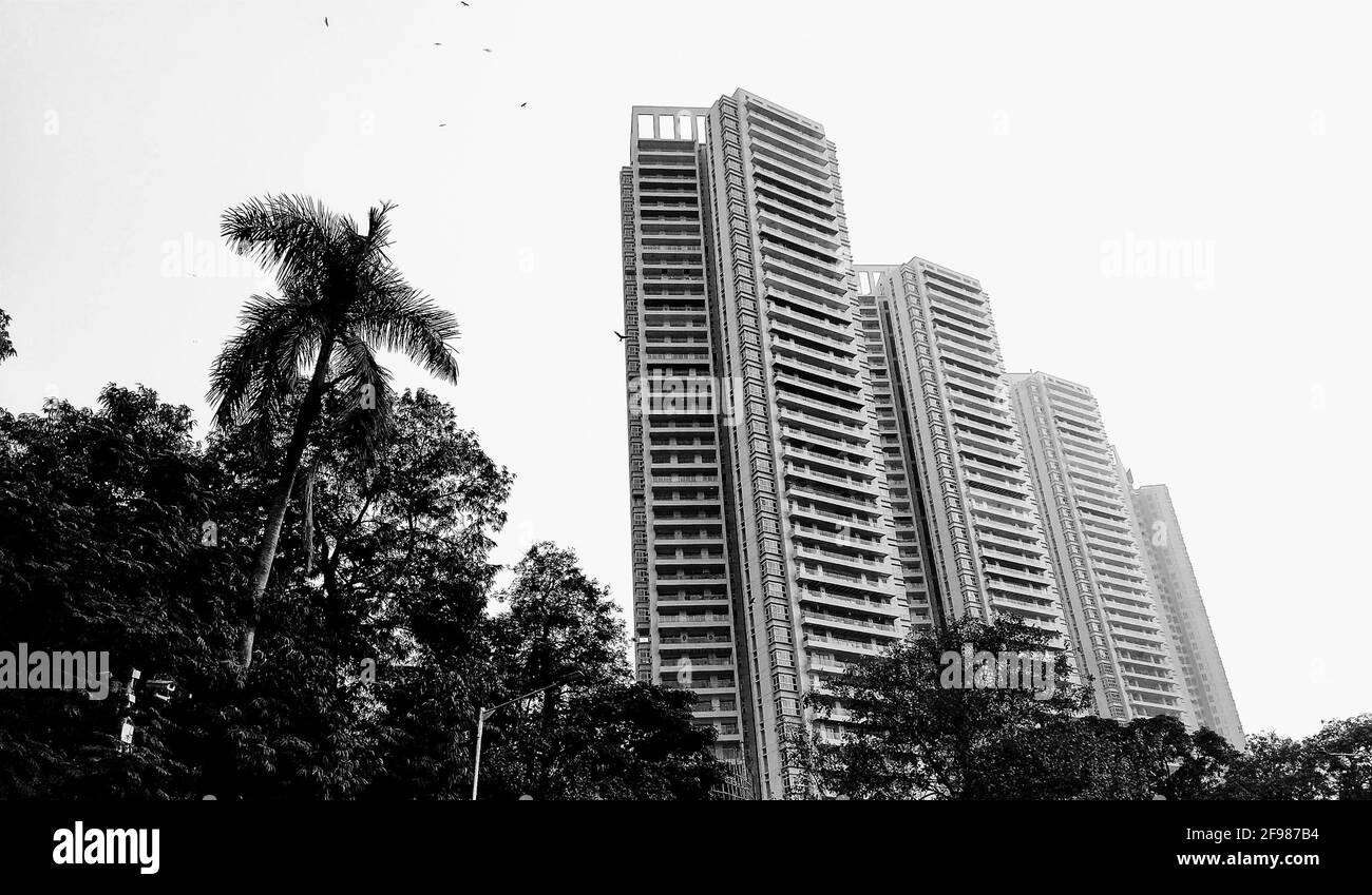 Prise de vue en niveaux de gris à faible angle de bâtiments élevés et d'arbres contre un ciel Banque D'Images Prise de vue en niveaux de gris à faible angle de bâtiments élevés et d'arbres contre un ciel Banque D'Images