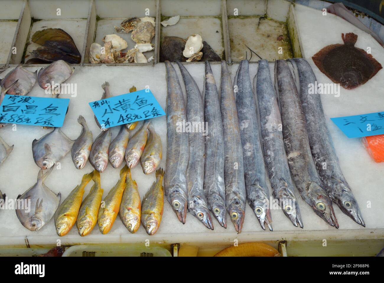 Grande sélection de poissons exotiques frais et de fruits de mer à vendre dans une rue chinoise. Ils étaient disponibles dans le centre-ville de Shanghai. Banque D'Images