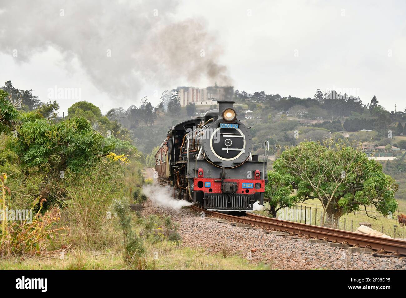 Train à vapeur avec locomotive de classe 19D exploité par Umgeni Steam Railway sur sa course mensuelle entre les stations Kloof et Inchanga, KwaZulu Natal, Afrique du Sud. Banque D'Images