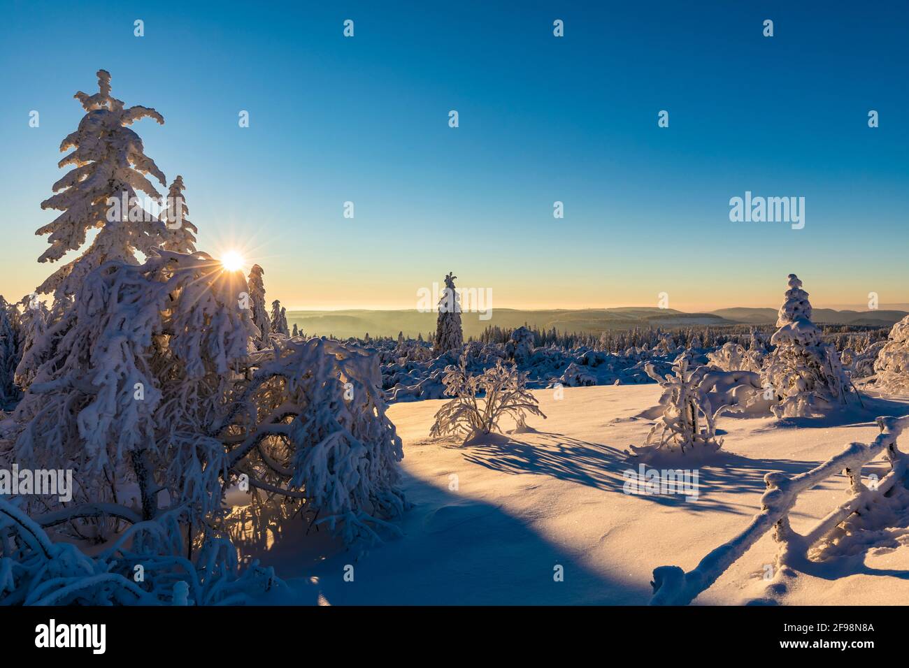 Allemagne, Bade-Wurtemberg, Forêt-Noire, Parc National de la Forêt-Noire, Schliffkopf, arbres, forêt, hiver, neige, paysage d'hiver, lever du soleil Banque D'Images