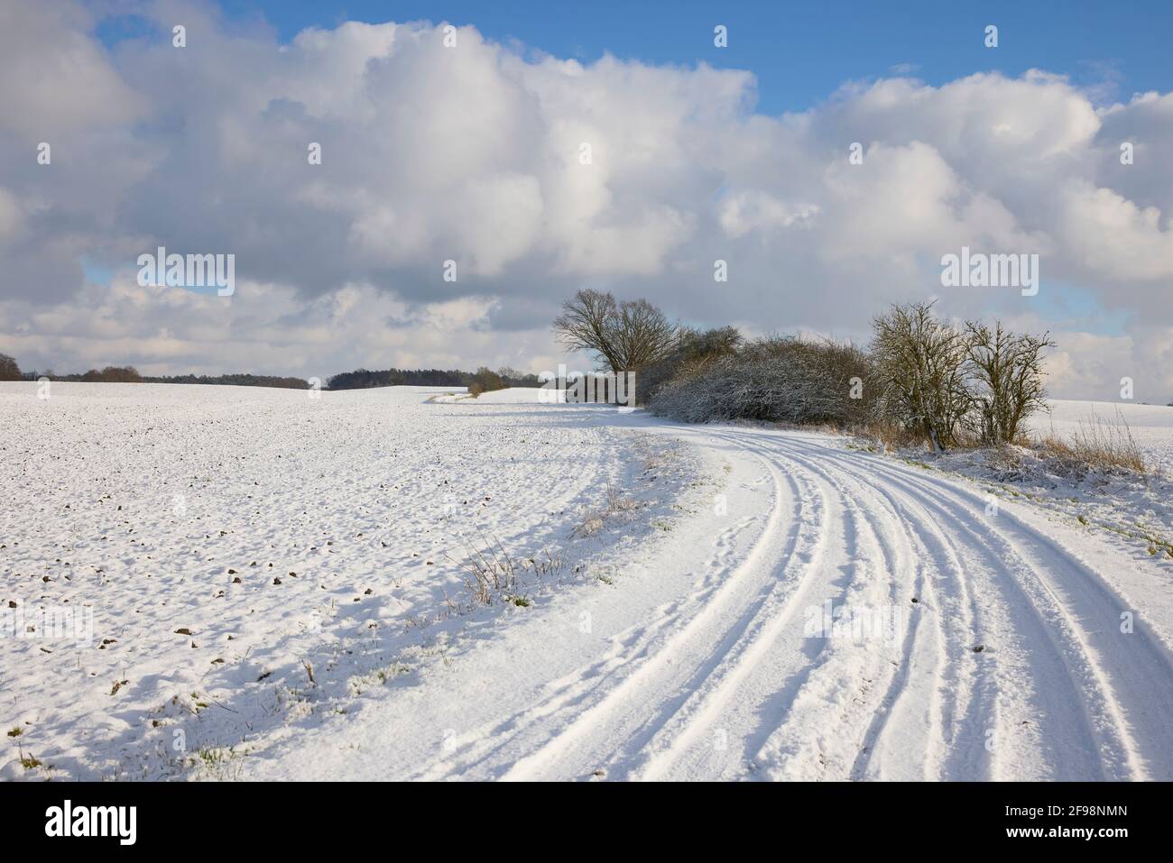 Allemagne, Mecklembourg-Poméranie occidentale, Mecklembourg-du-Nord-Ouest, hiver, paysage Banque D'Images
