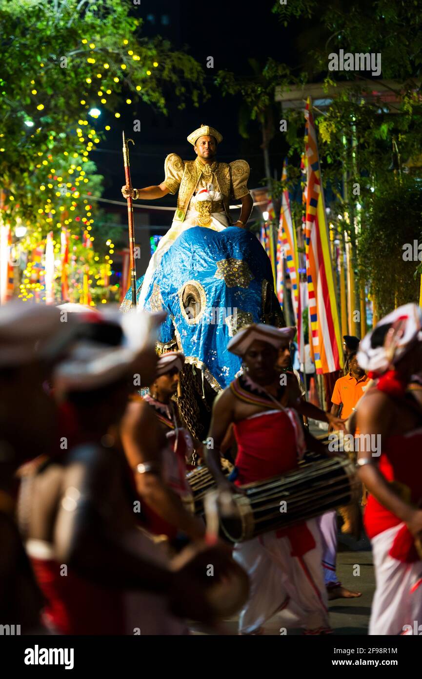 Sri Lanka, Colombo, temple Gangaramaya, festival Nawam Maha Perahera, groupe musical, éléphant, Banque D'Images