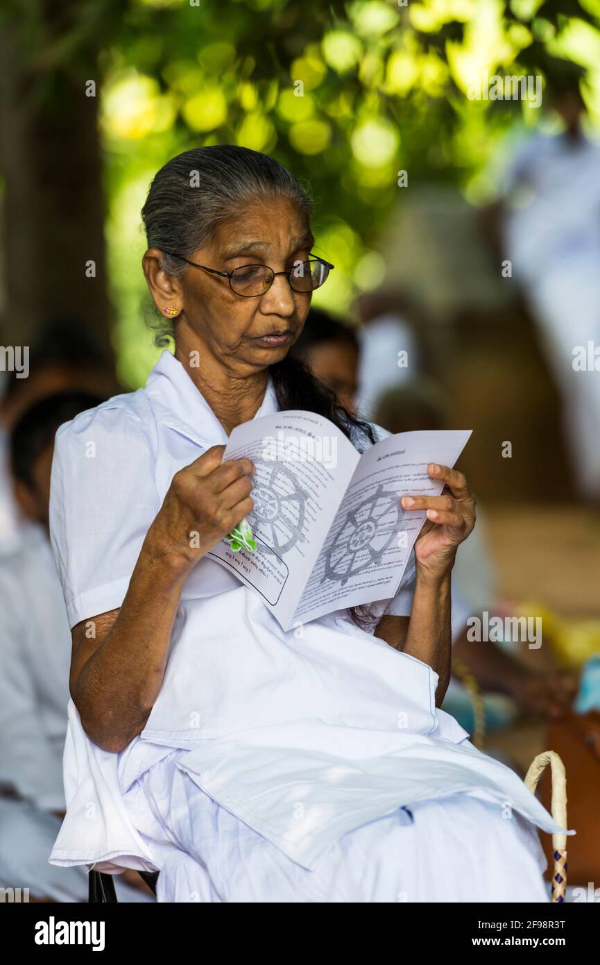 Sri Lanka, Kelaniya, temple de Kelaniya, senior Citizen, lire, Banque D'Images