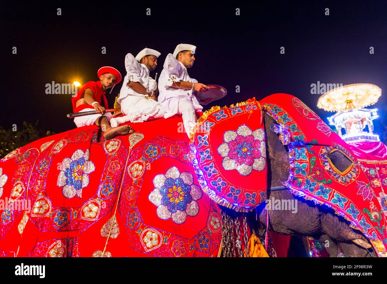 Sri Lanka, Colombo, temple Gangaramaya, festival Nawam Maha Perahera, éléphant, costume, splendid, Banque D'Images