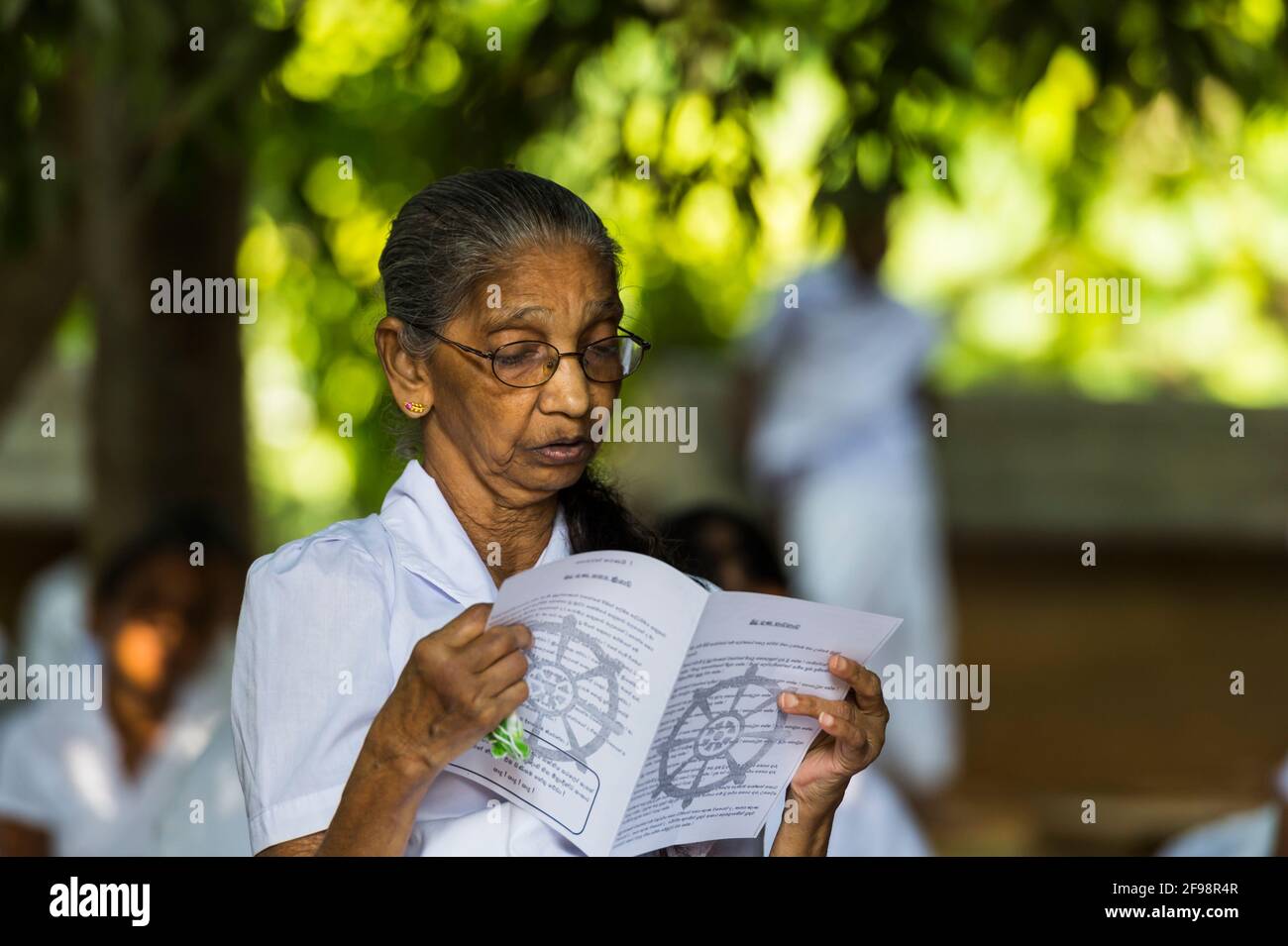Sri Lanka, Kelaniya, temple de Kelaniya, senior Citizen, lire, Banque D'Images