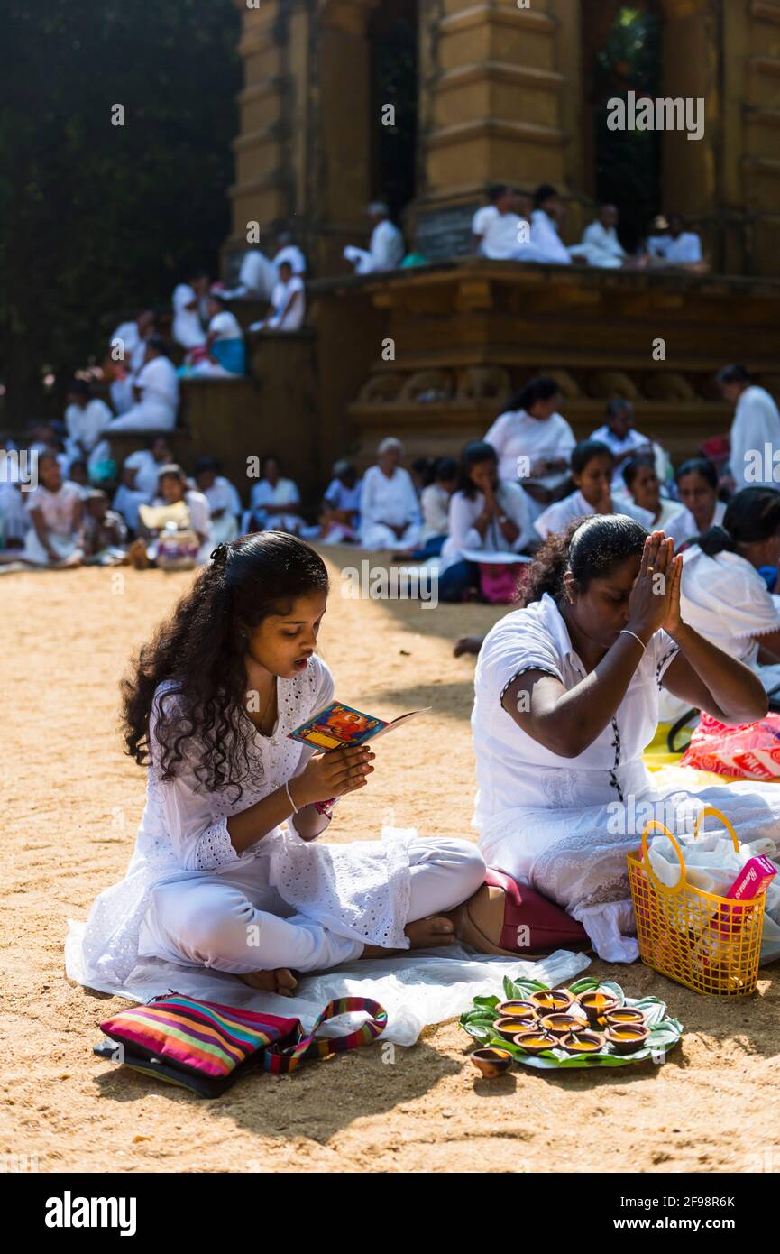 Sri Lanka, Kelaniya, Temple Kelaniya, croyants, terre, asseyez-vous, prière Banque D'Images