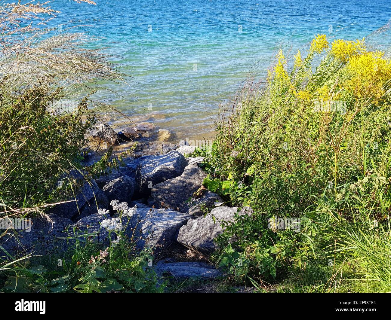 Côte rocheuse au Riemer See Banque D'Images