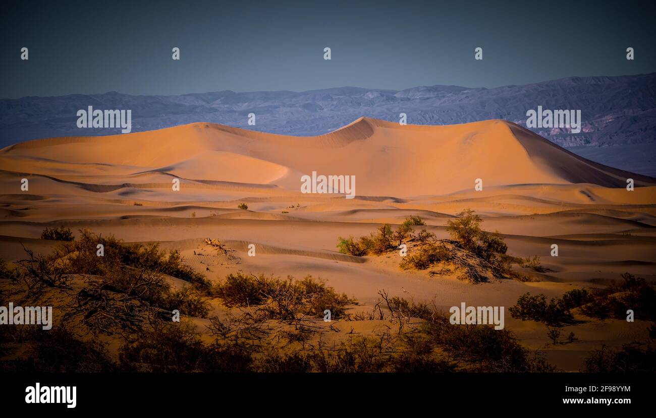 Magnifiques dunes de sable de Mesquite à la vallée de la mort en Californie - États-Unis 2017 Banque D'Images