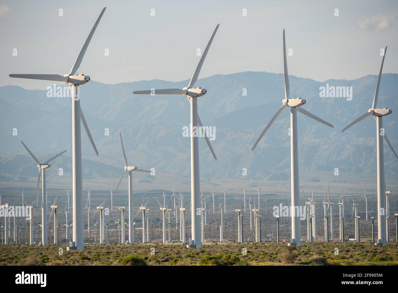 Les moulins à vent de Palm Springs en Californie - photographie de voyage Banque D'Images