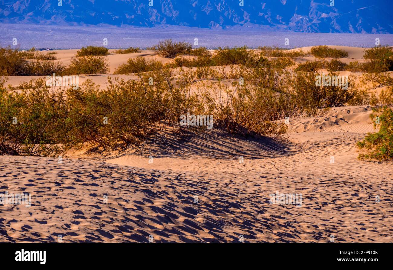 Magnifique paysage des dunes de sable de Mesquite Flat à la Vallée de la mort - ÉTATS-UNIS 2017 Banque D'Images