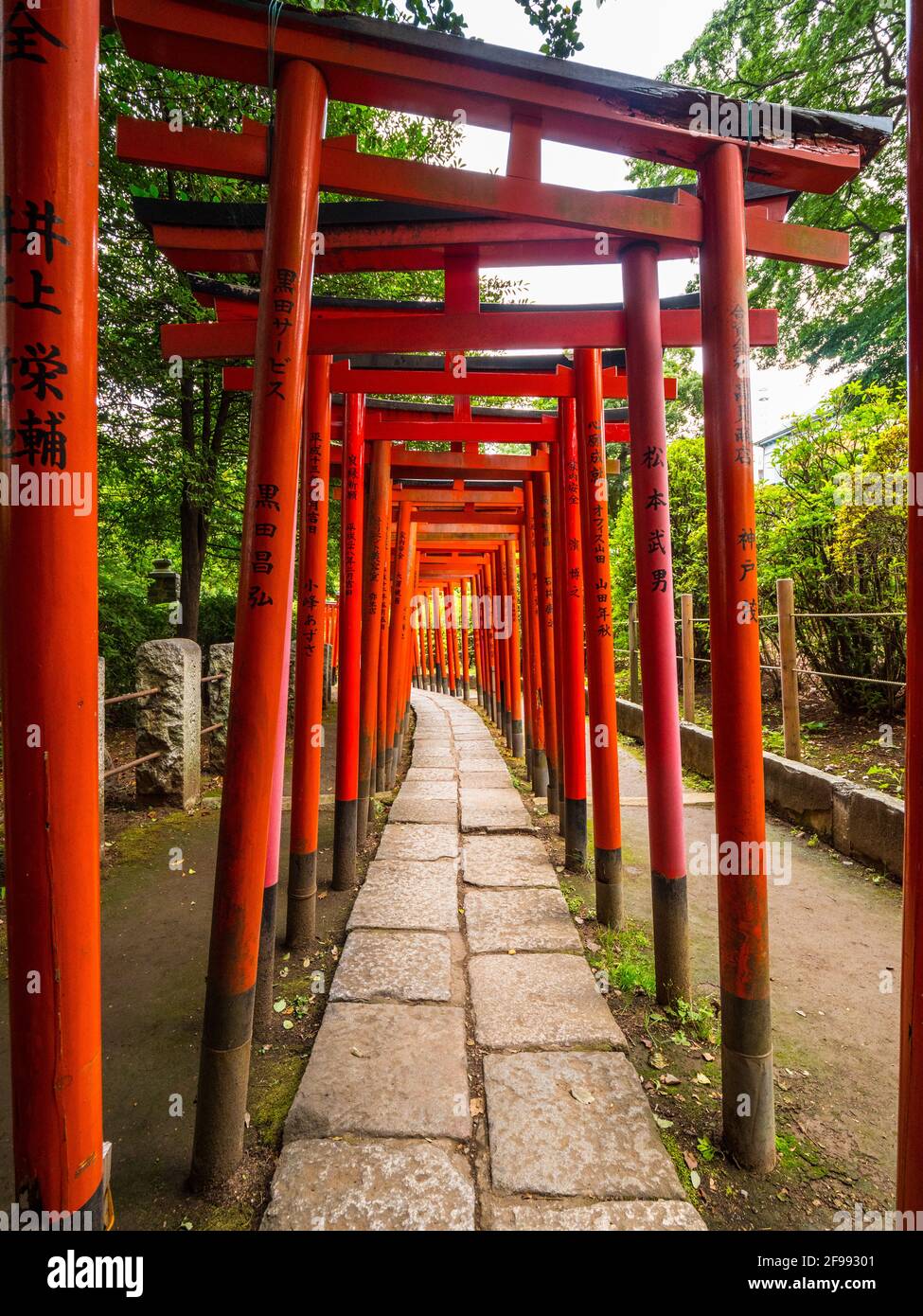 La fameuse porte rouge chemin de Nezu Jinja à Tokyo Banque D'Images