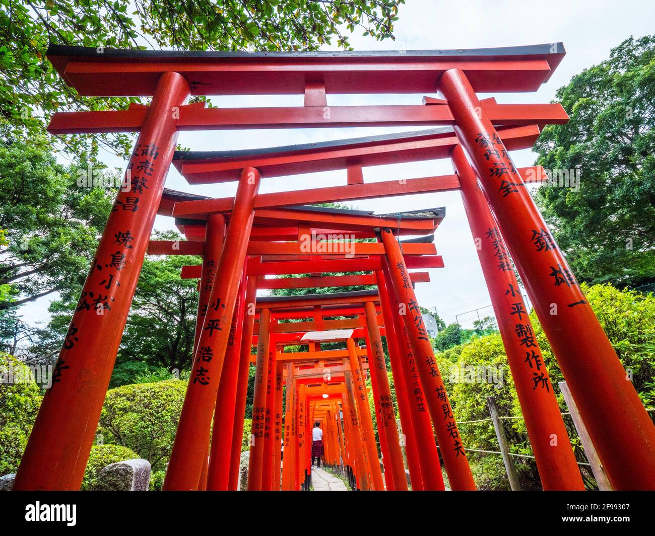 Nezu Jinja - le célèbre sanctuaire Shinto Bunkyo à Tokyo Banque D'Images