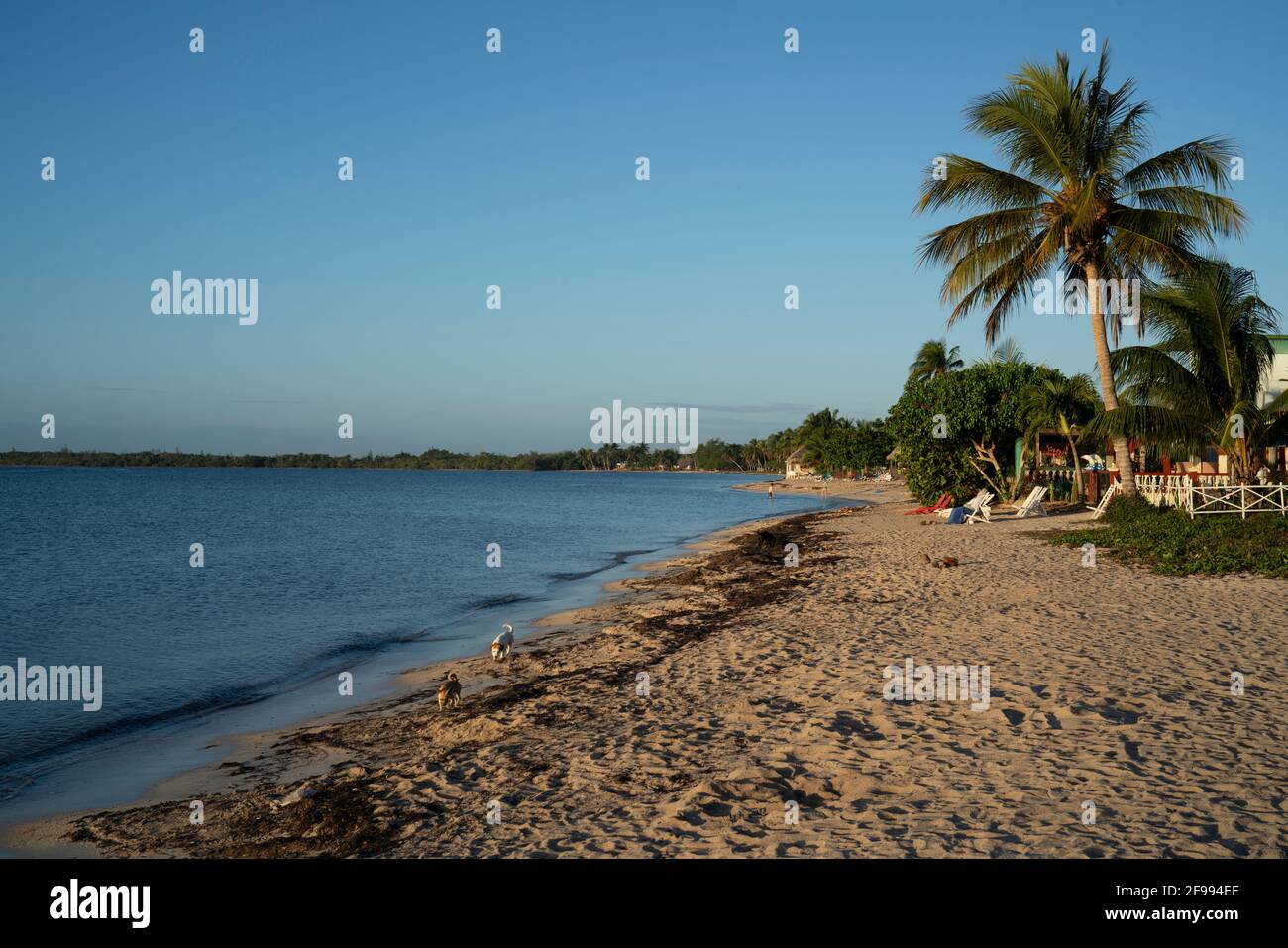 Playa Larga, province de Matanzas, Cuba Banque D'Images