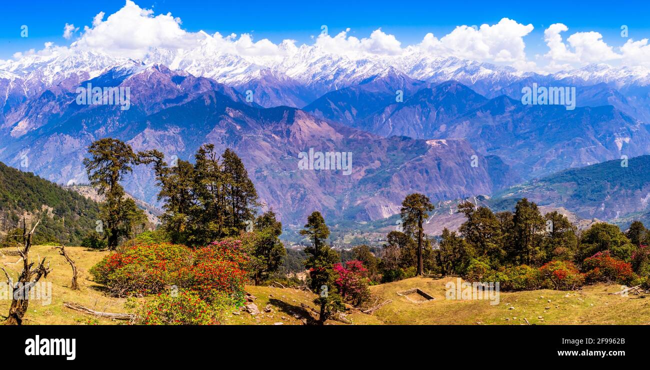 C'est la vue de l'Himalaya Panchchuli Peaks et paysage alpin depuis le sentier de randonnée de Khalia à Munsiyari. Le sommet de Khalia est à une altitude de 3500m Banque D'Images