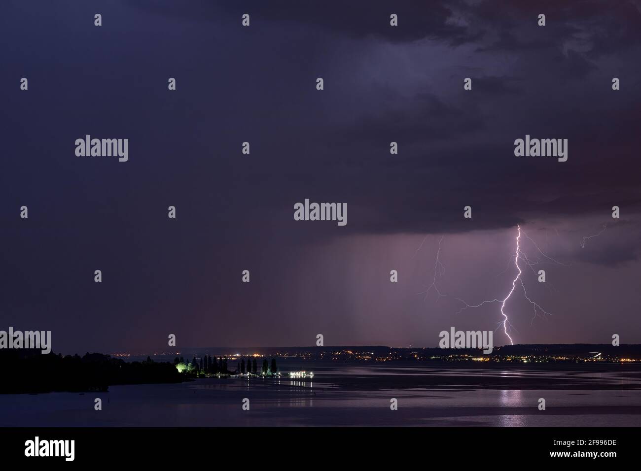 Un twitter au-dessus du lac de Constance fait un beau spectacle Banque D'Images