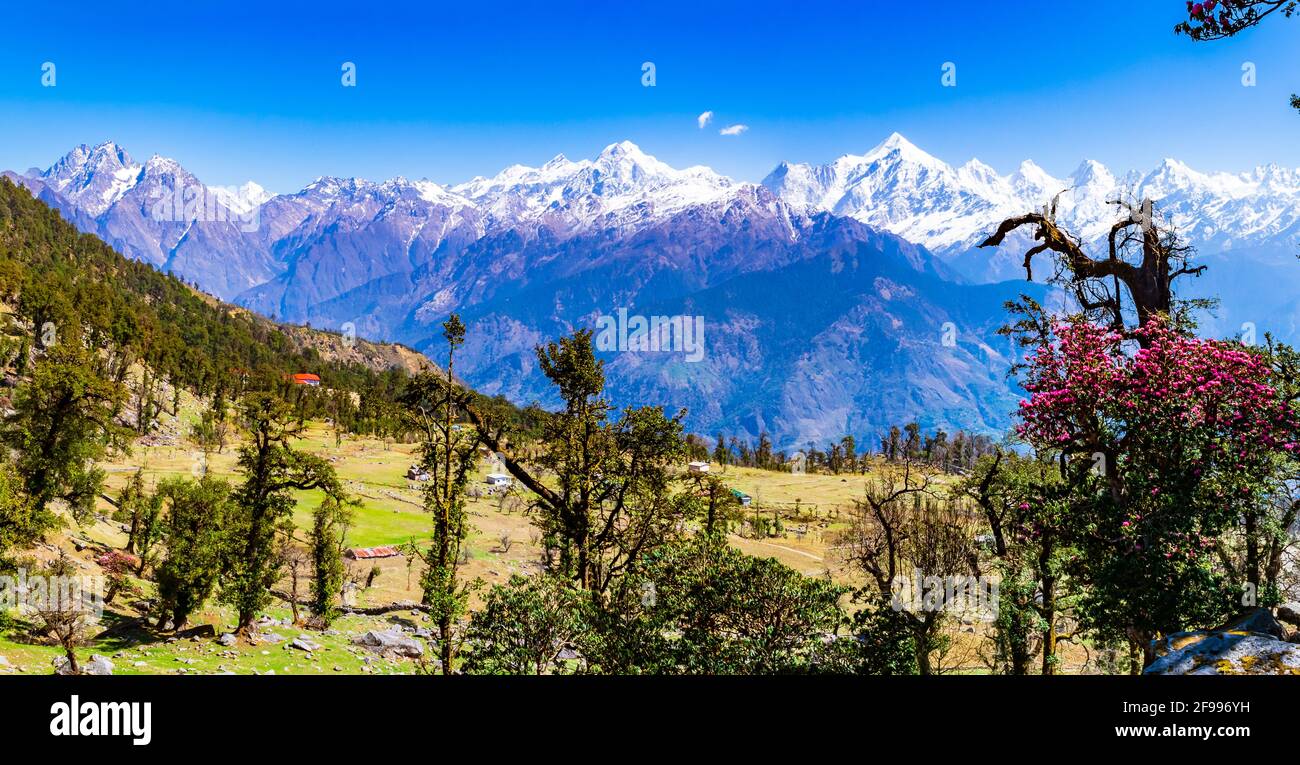 C'est la vue de l'Himalaya Panchchuli Peaks et paysage alpin depuis le sentier de randonnée de Khalia à Munsiyari. Le sommet de Khalia est à une altitude de 3500m himal Banque D'Images