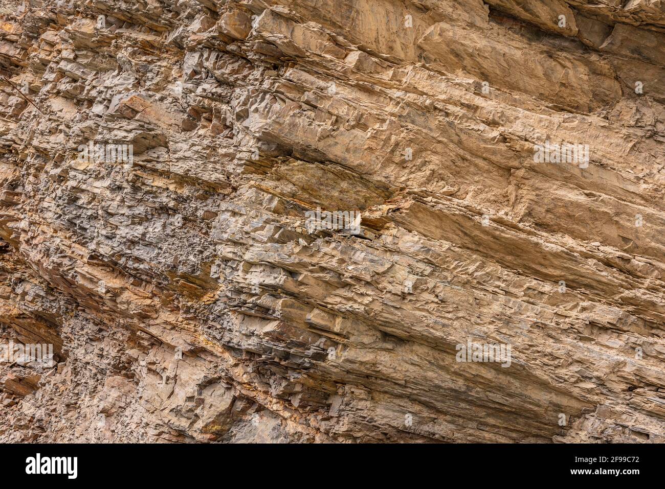 Strates de Mudrocks, il s'agit d'une roche sédimentaire silicicastique comprenant le siltstone, le claystone, le mudstone, l'ardoise et le schiste formé par la sédimentation accumulée Banque D'Images