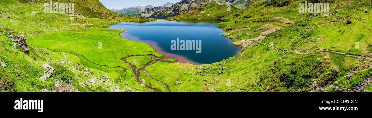 Lac de montagne bleu intact dans une prairie de montagne verte Banque D'Images