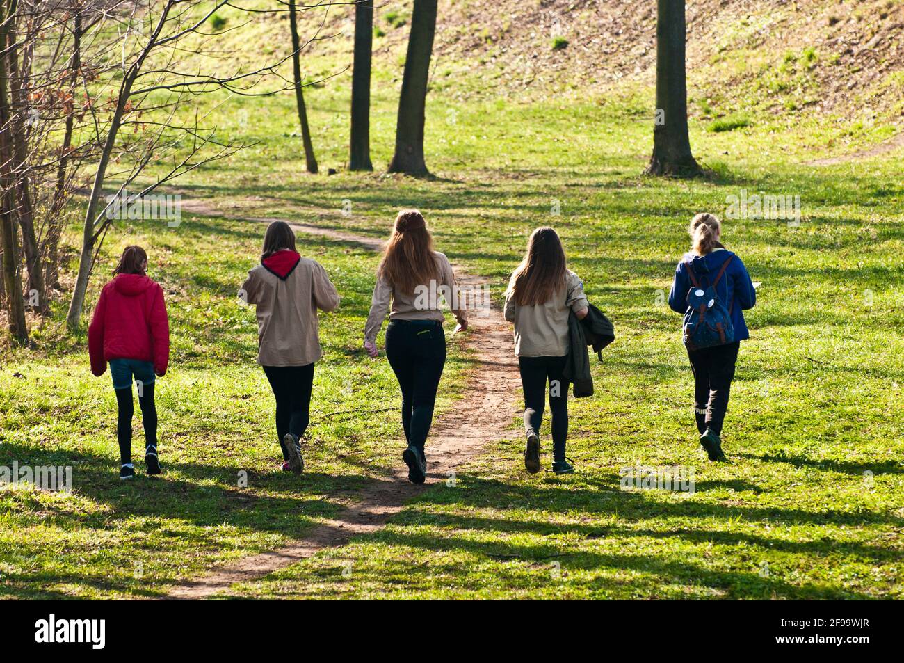 groupe de cinq filles marchant dans la nature Banque D'Images