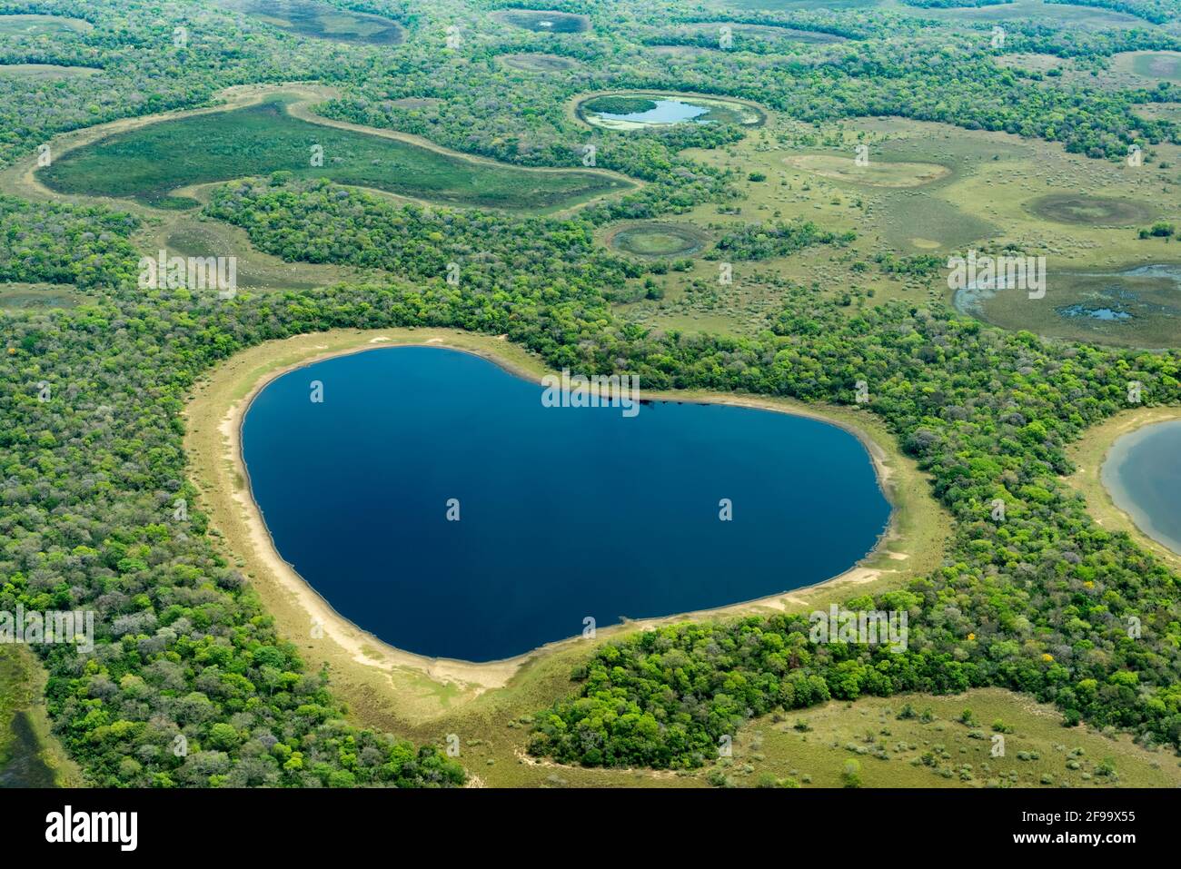 Vue aérienne du lac en forme de coeur à Pantanal. Fazenda Barranco Alto Banque D'Images