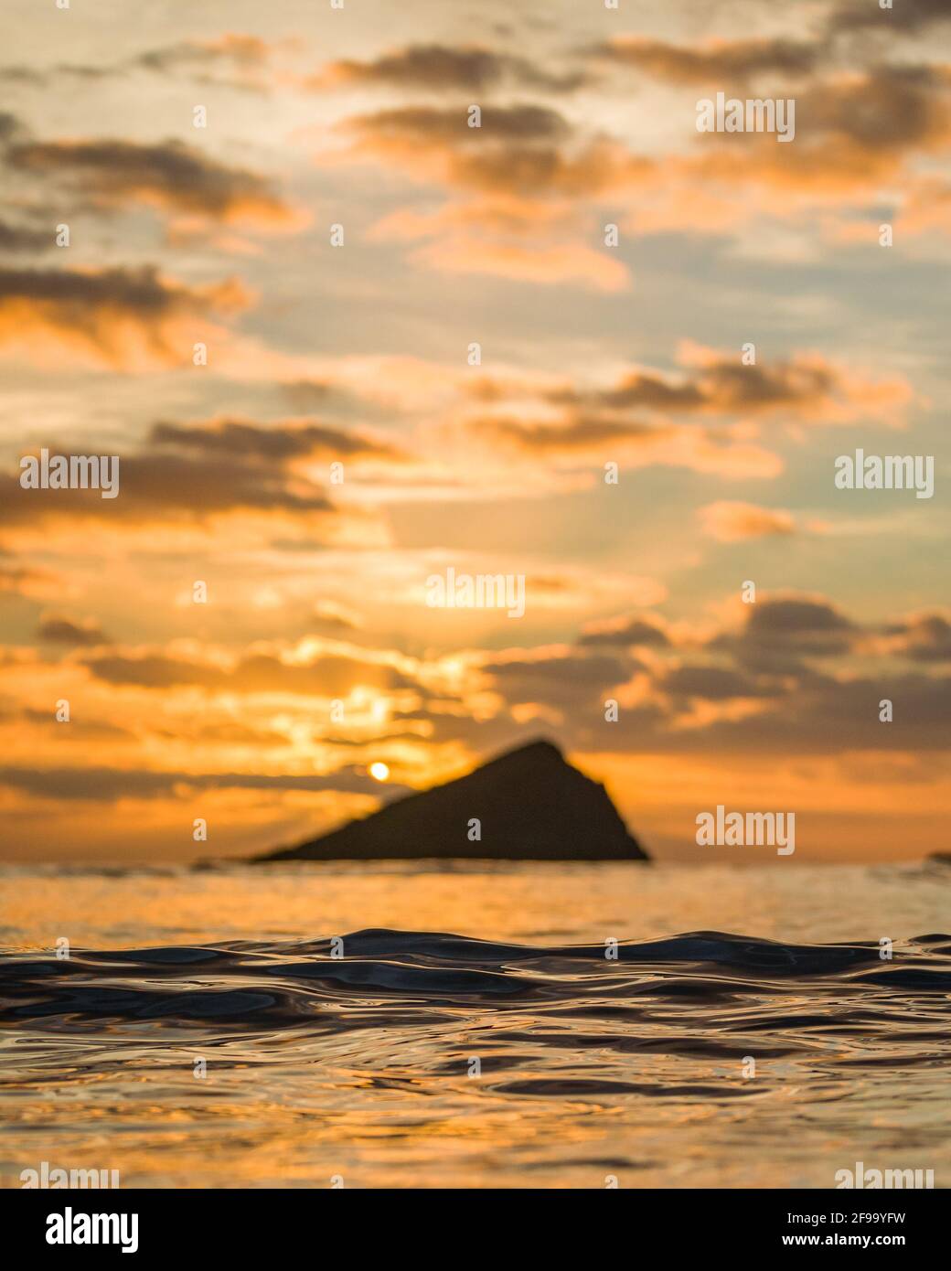 Une nouvelle marée se déroule dans la baie de Wembury avec un coucher de soleil derrière la Grande Mustone. Banque D'Images