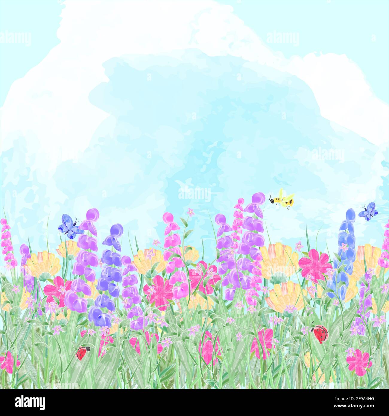 Paysage avec fleurs, herbe et insectes dans un pré d'été. Illustration imitant une mise en plan aquarelle dans des couleurs pastel douces. Banque D'Images