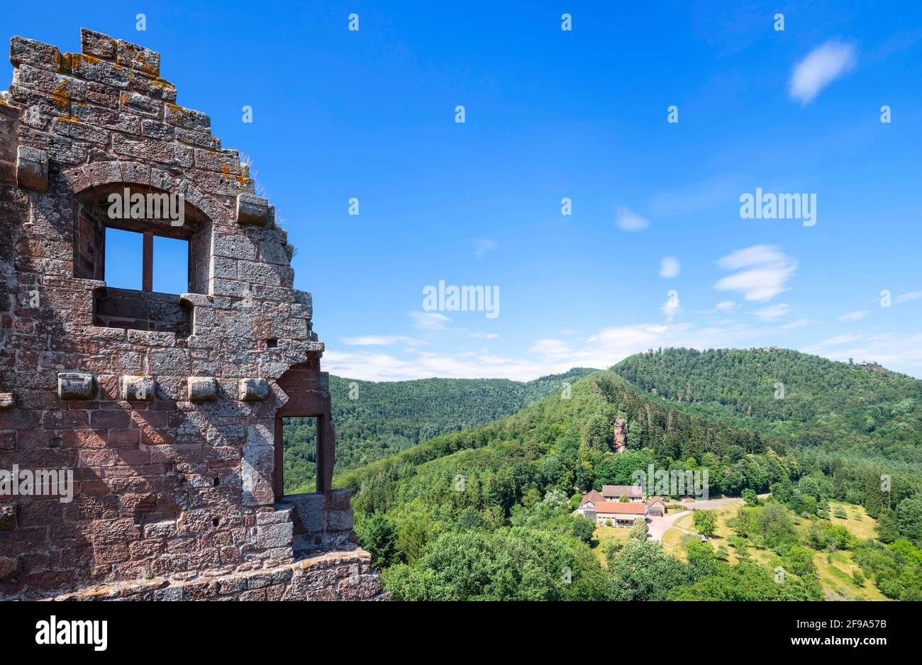 Vue depuis les ruines du château de Fleckenstein sur les Vosges boisées du nord par une belle journée d'été. Bas-Rhin, Alsace, Grand est, France Banque D'Images