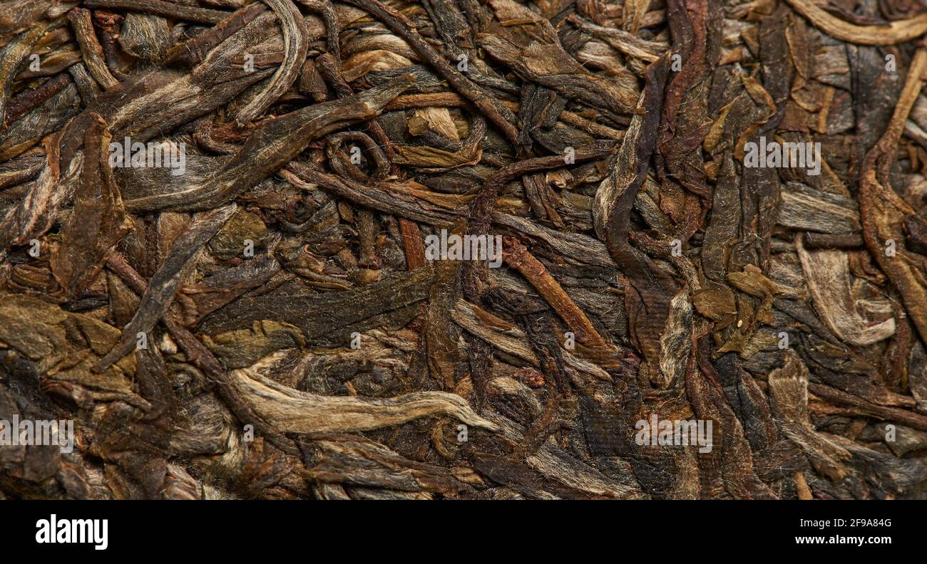 Texture du thé chinois comme arrière-plan. Banque D'Images