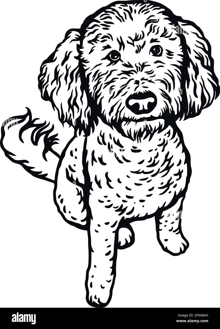 Posture assise de chien Labradoodle - illustration vectorielle isolée sur blanc arrière-plan Illustration de Vecteur