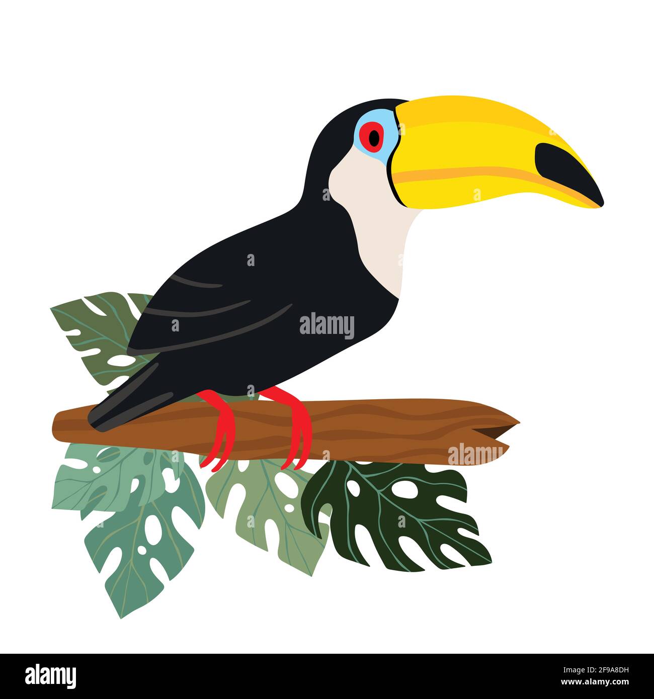 Un joli petit oiseau de toucan de dessin animé sur la branche. Illustration de stock vectoriel pour les invitations, les cartes, les affiches. Imprimé exotique d'été. Icône toucan tropicale à motif floral Illustration de Vecteur