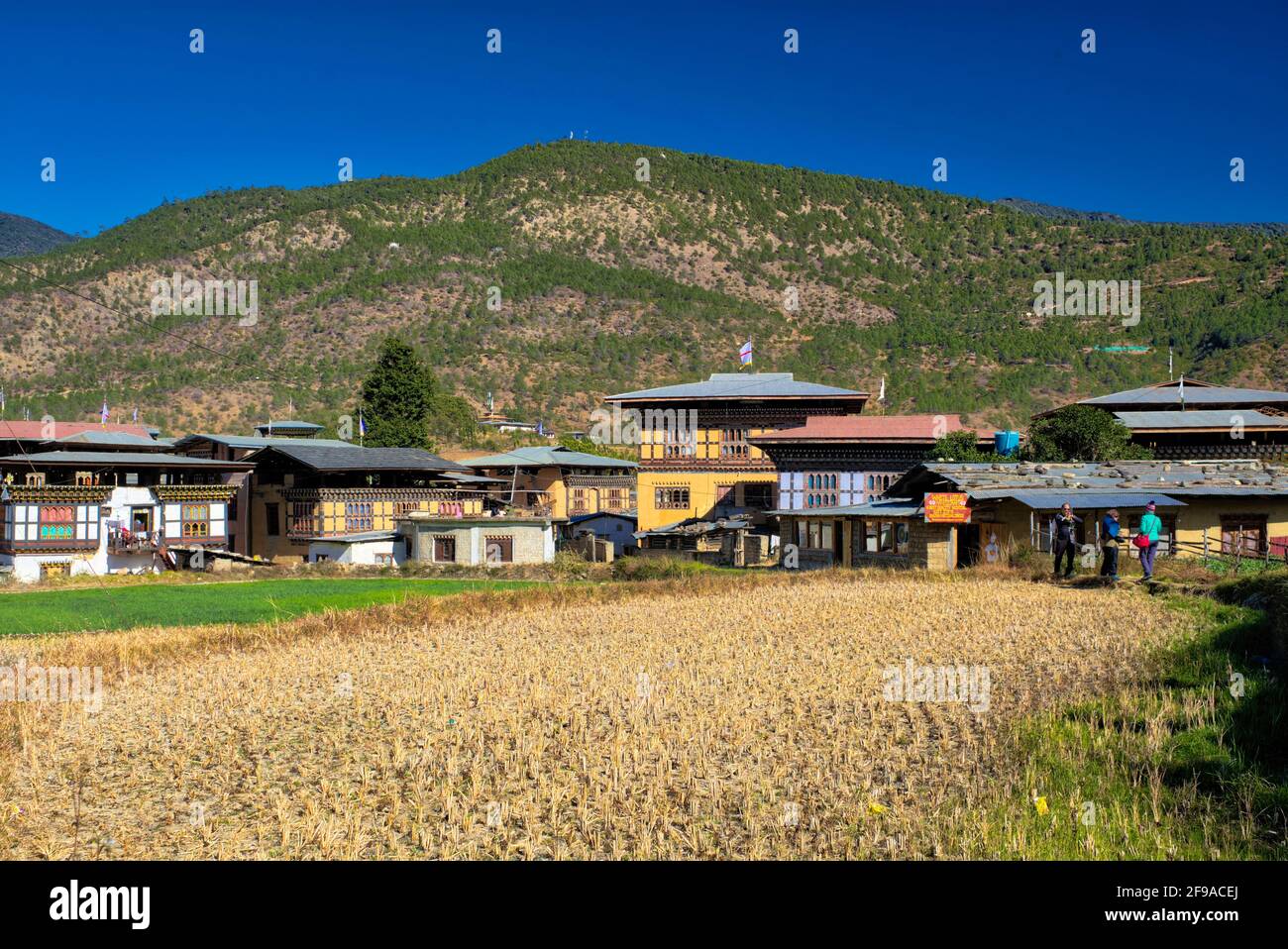 Le Chimi Lhakhang est un monastère bouddhiste au Bhoutan. Il est situé près du village de Sopsokha, dans le district de Punakha, au Bhoutan. Les pèlerins et les touristes ont Banque D'Images