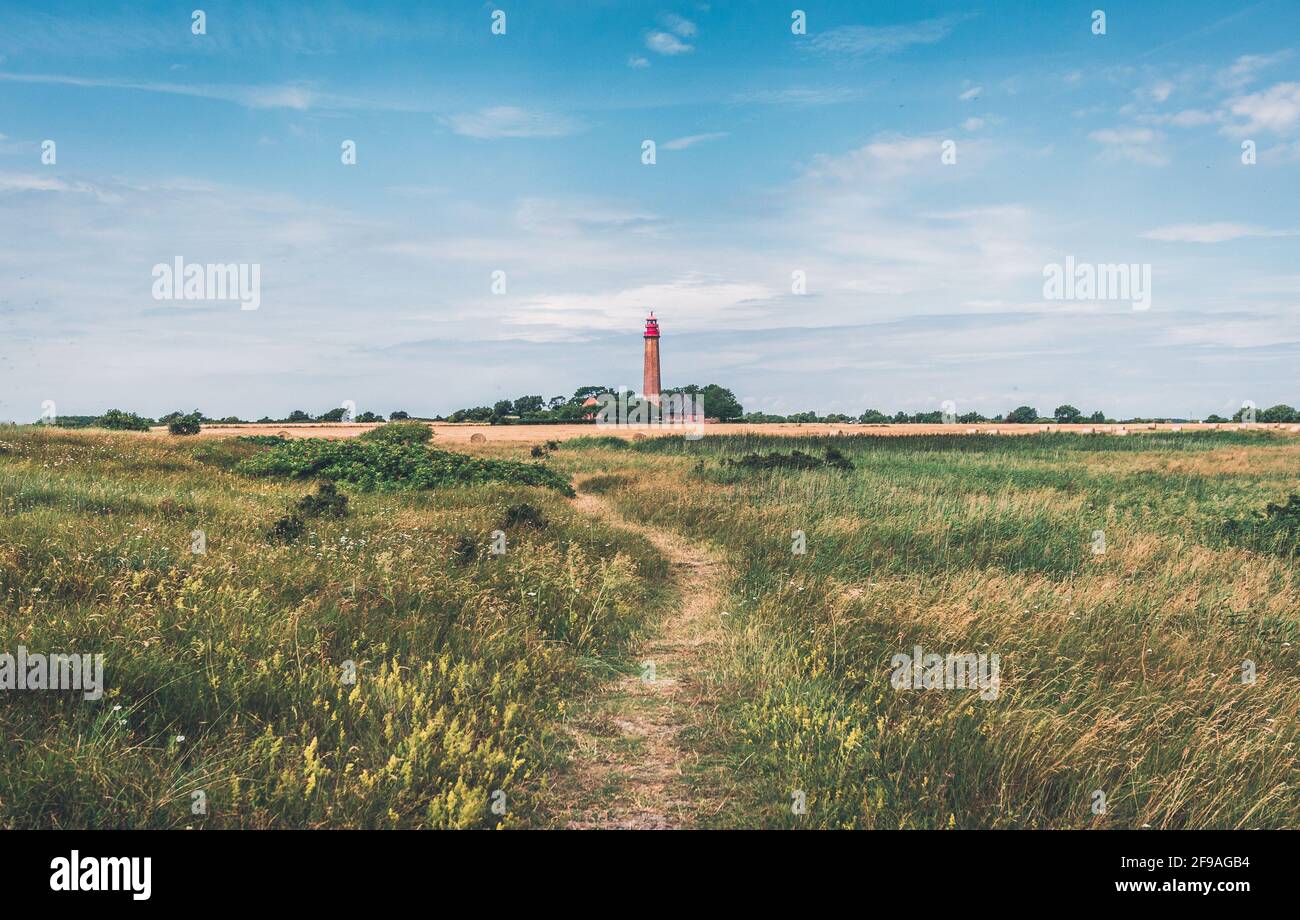 phare Flügge (Fluegge) le jour d'été sur l'île allemande Fehmarn avec herbe et champ Banque D'Images