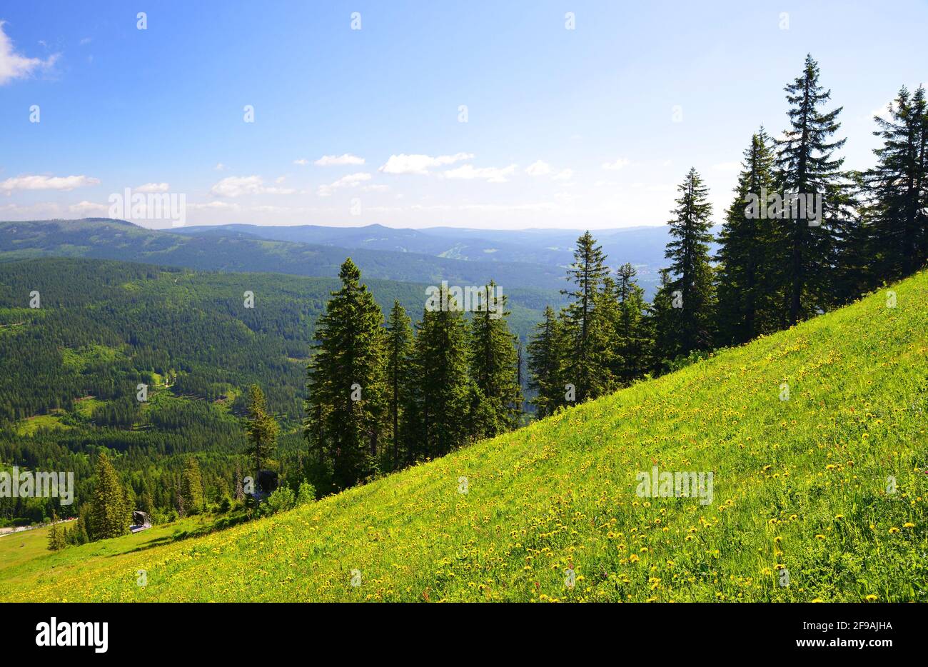 Paysage d'été dans le parc national Bayerische Wald, vue de la montagne Grosser Arber, Allemagne. Banque D'Images