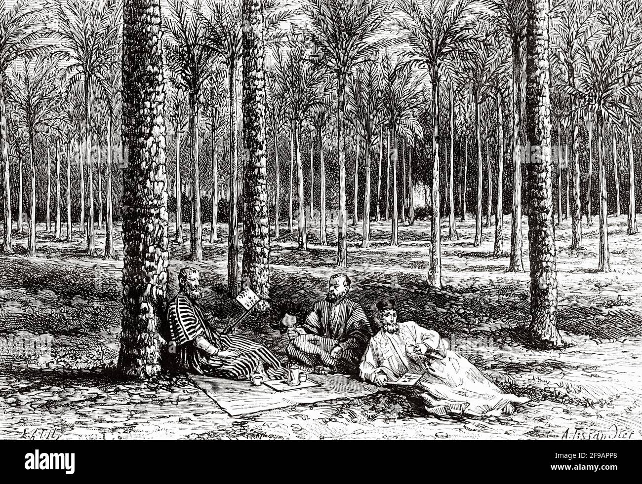 Tougcourt oasis, Algérie. Afrique. Ancienne illustration gravée du XIXe siècle de la nature 1889 Banque D'Images