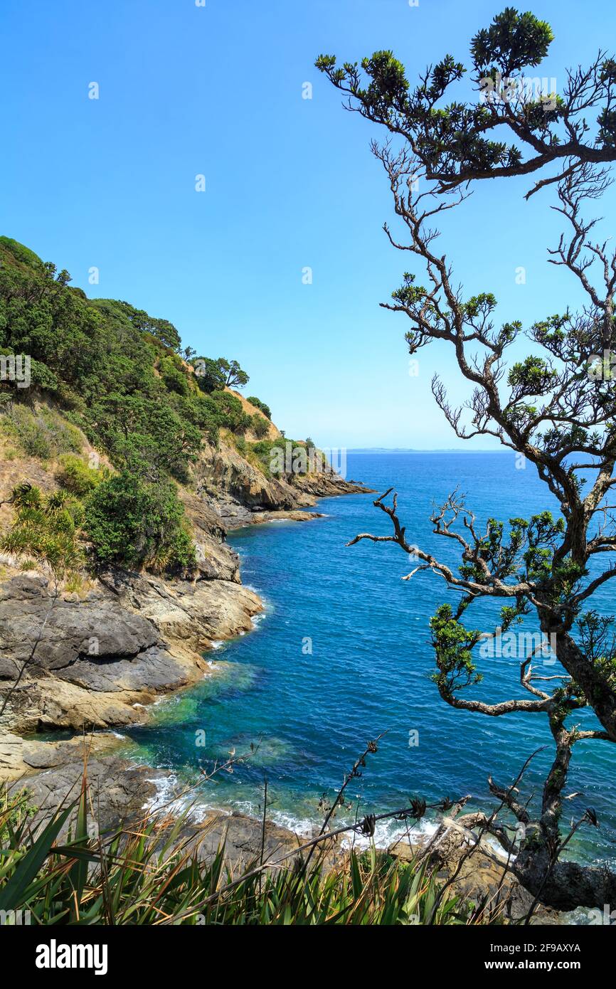 Un paysage côtier sur l'lointain et beau loin au nord de la péninsule de Coromandel, Nouvelle-Zélande Banque D'Images