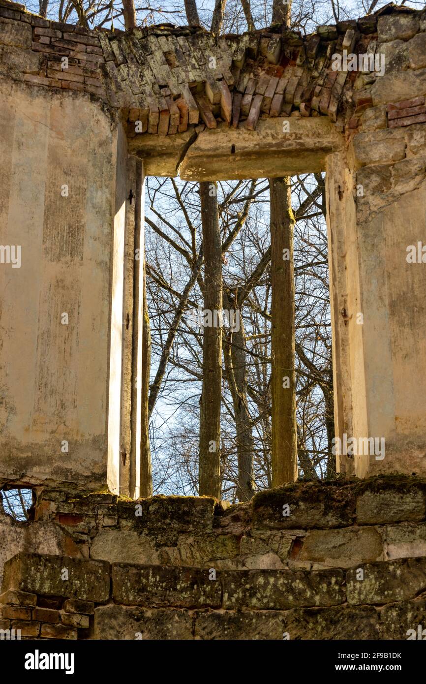 Vue à travers un trou pour fenêtre dans une ruine abandonnée dans les bois Banque D'Images