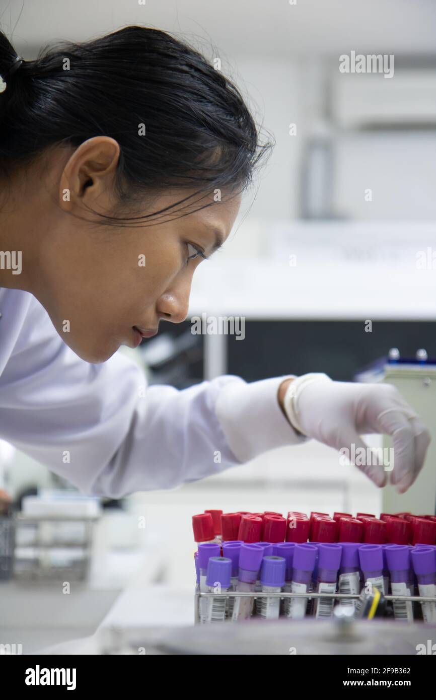 Une femme travaillant avec des tubes de test de sang dans un laboratoire à l'hôpital Banque D'Images