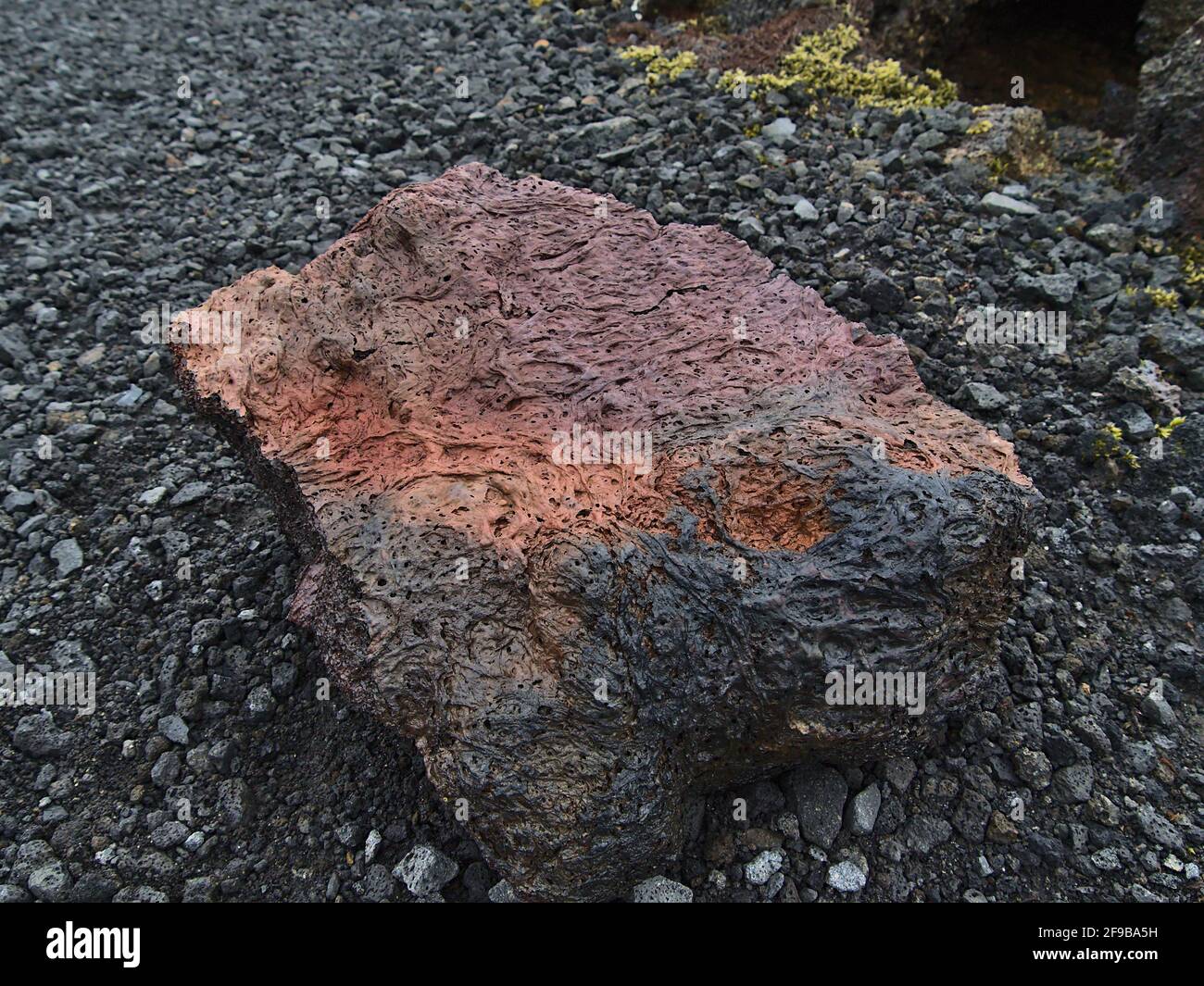 Vue rapprochée d'une roche volcanique poreuse colorée de couleur rouge, orange et noire sur un sentier de randonnée à côté d'un champ de lave près de Gridavik, Reykjanes, Islande. Banque D'Images