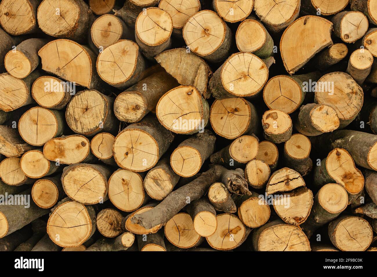 Détail texture bois. Pile de bois de chauffage. Pile de billes de bois stockées pour l'hiver. Mur de bois. Fond naturel en bois. Stockage de bois de chauffage sec haché Banque D'Images