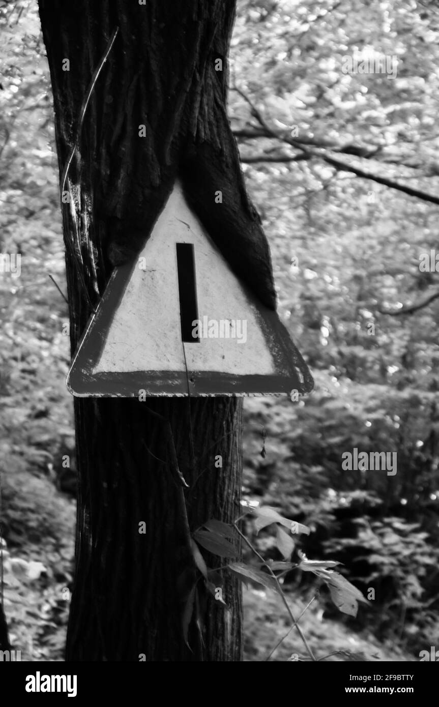 Signe de trafic triangulaire, qui au fil des ans a grandi avec un arbre, le pieu n'existe plus. Banque D'Images