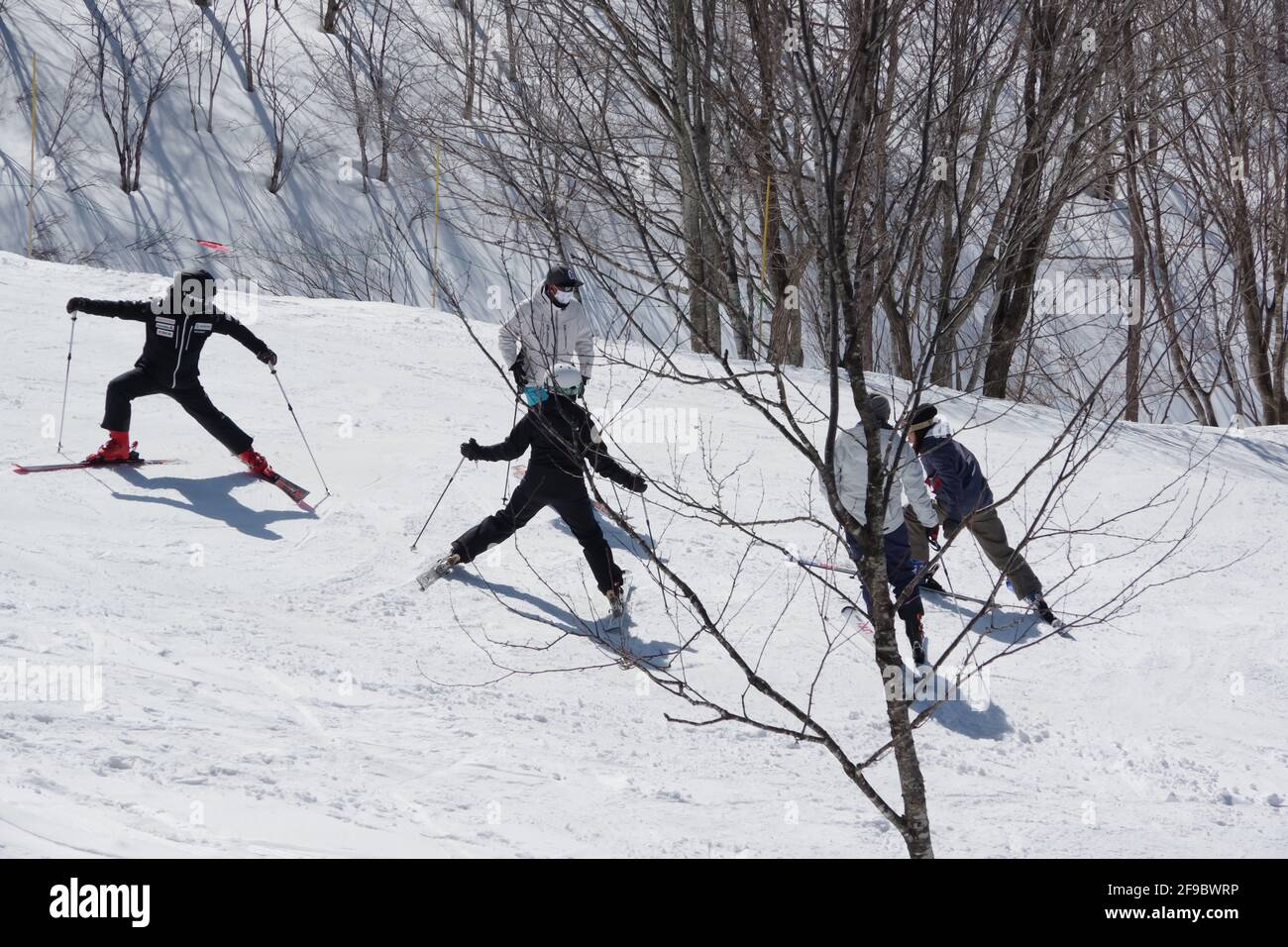 Hakuba, Japon, 28/02/2021, hiver 2021, Banque D'Images