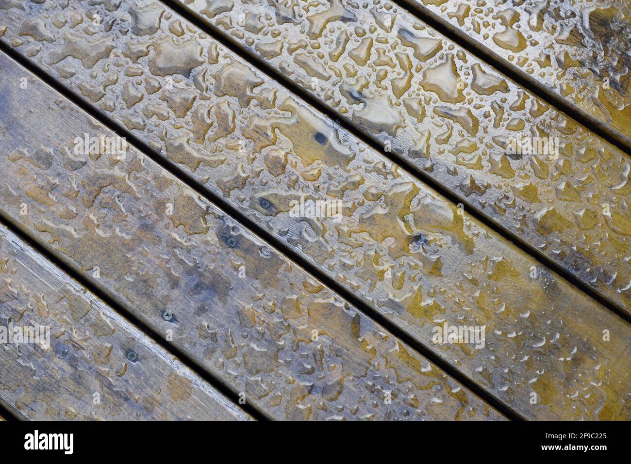 Perce de l'eau sur des lames de terrasse en bois huilé Banque D'Images