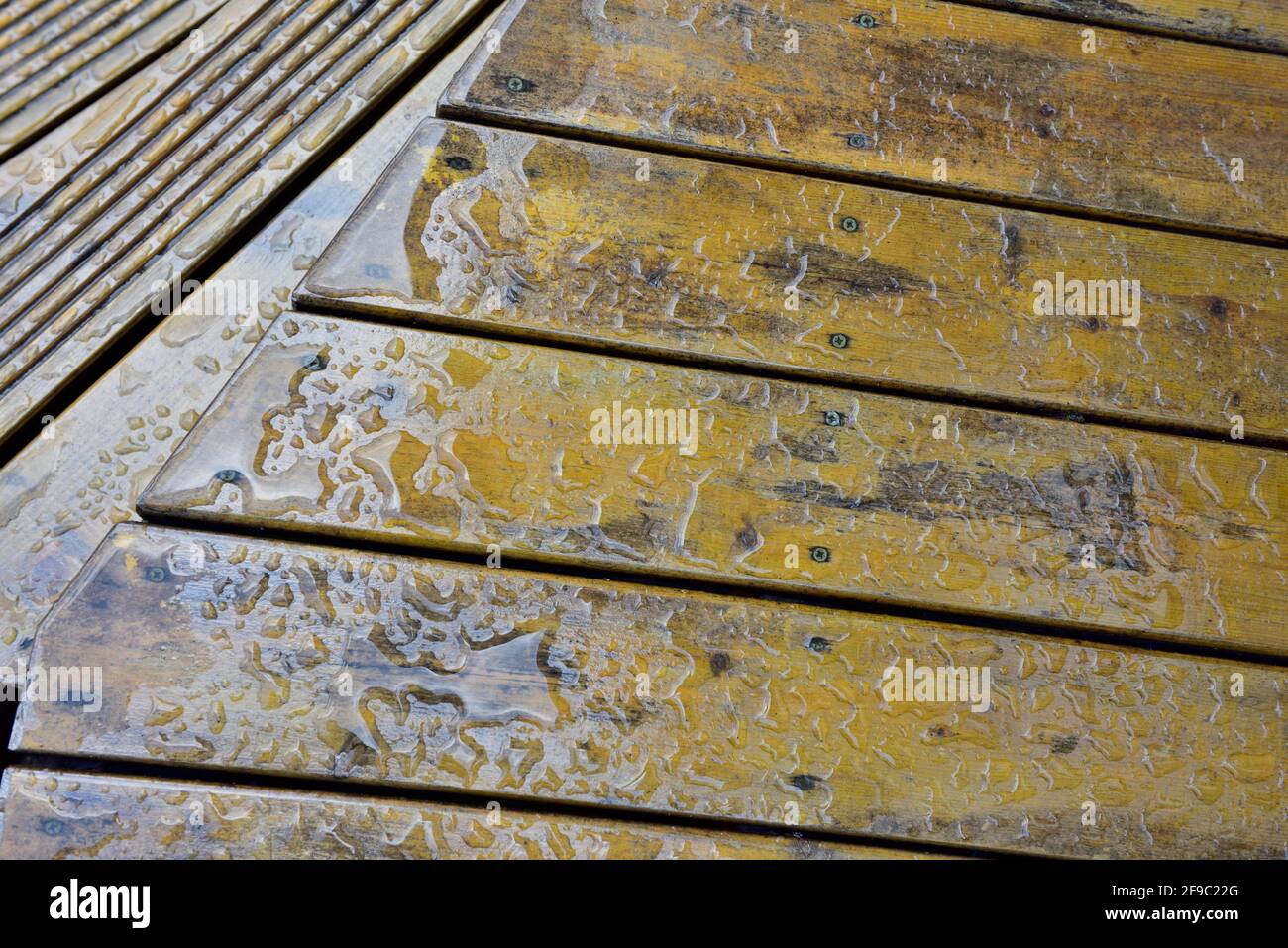 Perce de l'eau sur des lames de terrasse en bois huilé. Dessus avec le dessus plat descendant jusqu'au pas avec les rainures Banque D'Images
