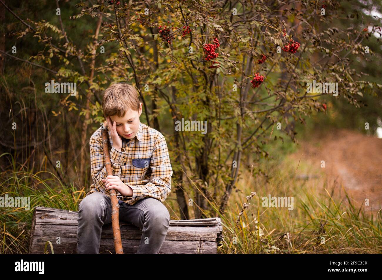 Le garçon blond-groom est assis dans les bois sur un rondin, a l'air réfléchi et Banque D'Images