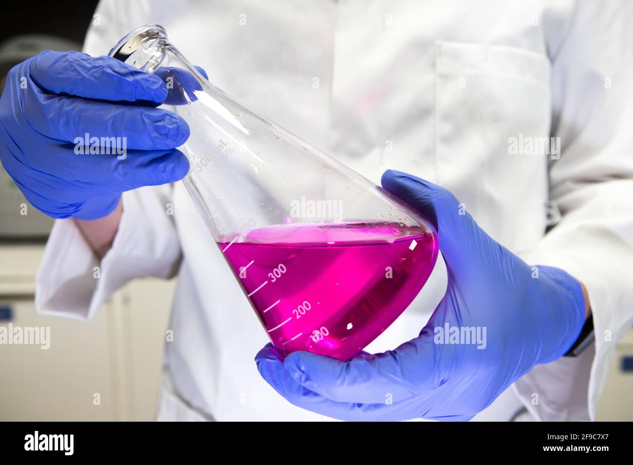 Scientifique dans un laboratoire tenant une fiole jaugée contenant un produit chimique violet. Analyse de titrage Banque D'Images