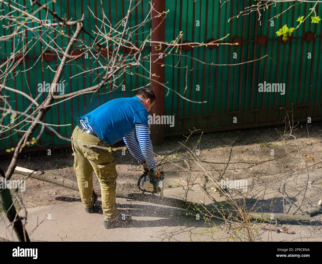 Moscou. Russie. 17 avril 2021. Un homme scie une branche épaisse d'un arbre avec une tronçonneuse. Rajeunissement des arbres. Jour de printemps ensoleillé. Banque D'Images