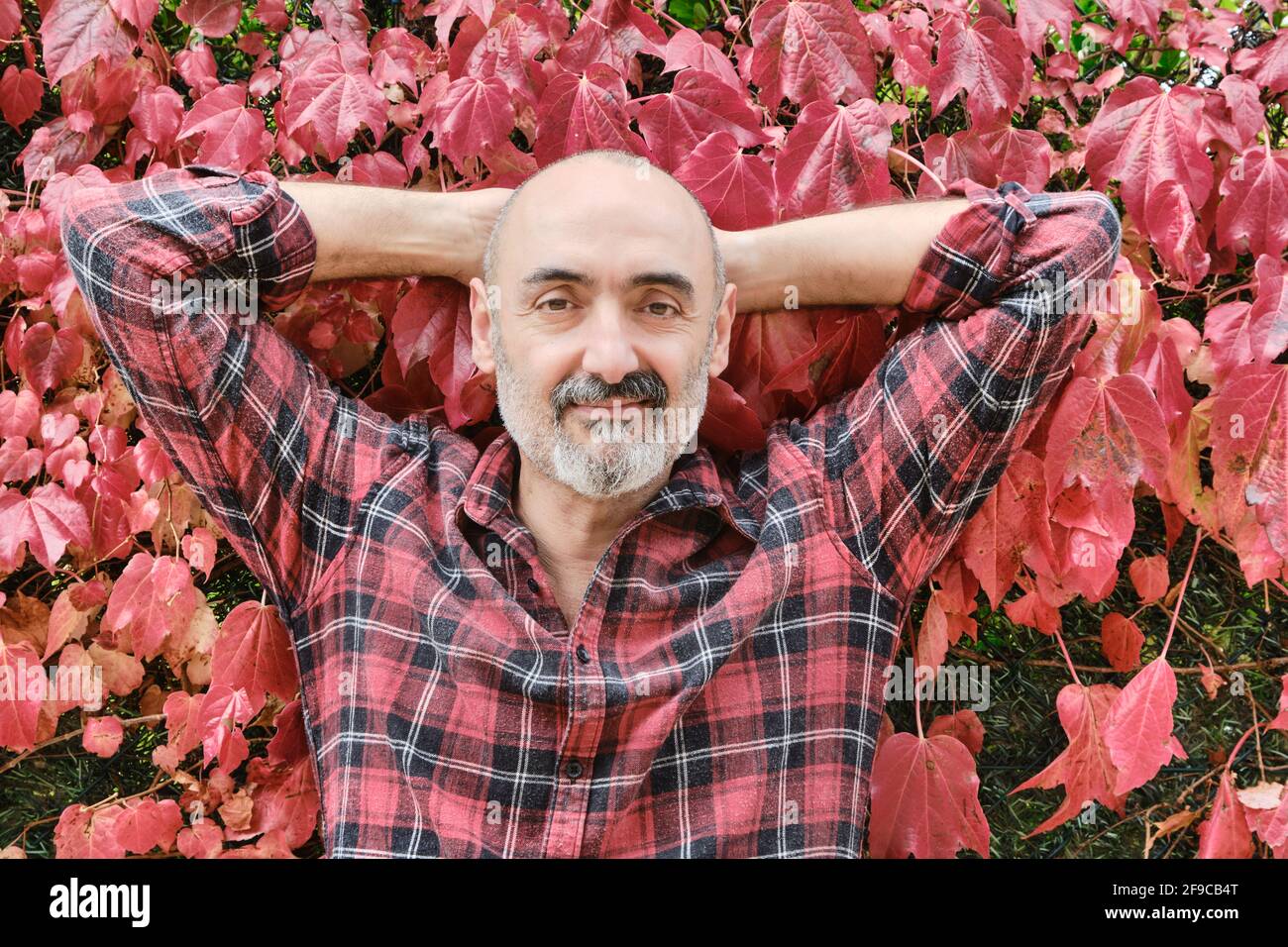 Portrait d'un homme caucasien mûr vêtu d'une chemise à carreaux avec un fond de feuilles automnales. Banque D'Images