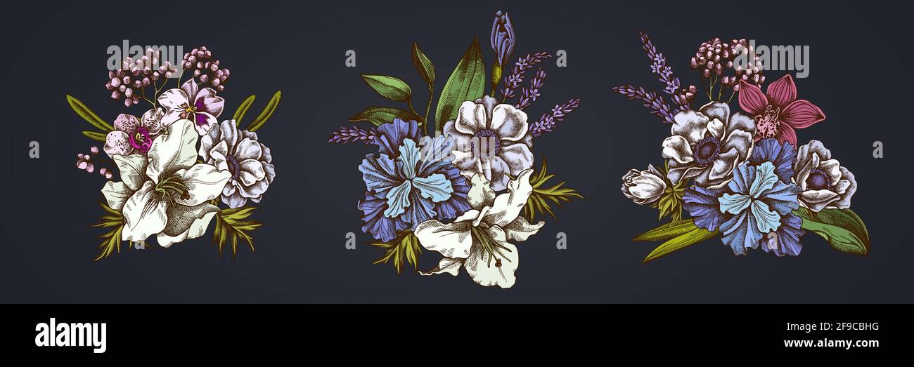Bouquet de fleurs d'anémone colorée, lavande, romarin éternel, phalaenopsis, lis, iris Illustration de Vecteur