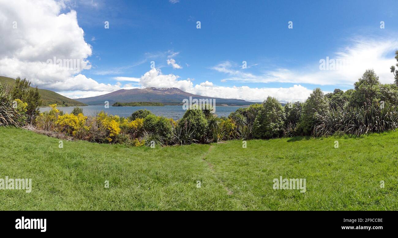 Impression ensoleillée autour du lac Rotopounamu sur l'île du Nord De la nouvelle-Zélande Banque D'Images